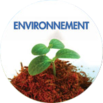 Environnement